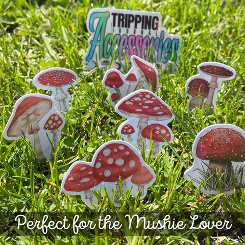 Red Mushies Sticker Set 🍄