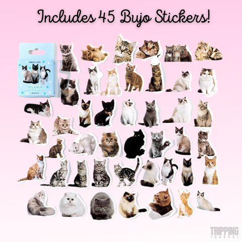 Cat Selfies: 45 Piece Sticker Set🐈